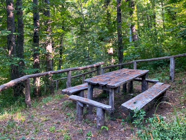 tavolo picnic foresta roccarainola